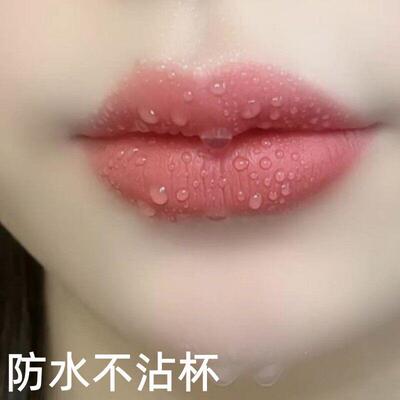 豆沙不沾杯不掉色肉桂奶茶胡萝卜口红雨衣素颜唇釉显白防水