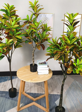 ins欧变木盆栽人工内造仿真洒sx88796金榕色小树室式假树盆景制作