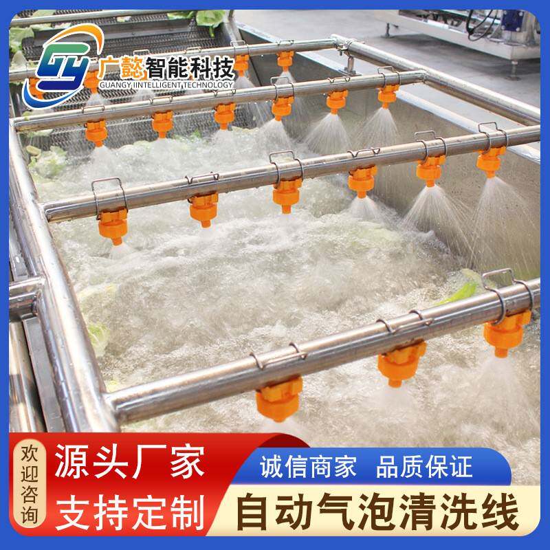 生菜莴苣清洗机不锈钢黄桃气泡清洗机全自动樱桃清洗机价格