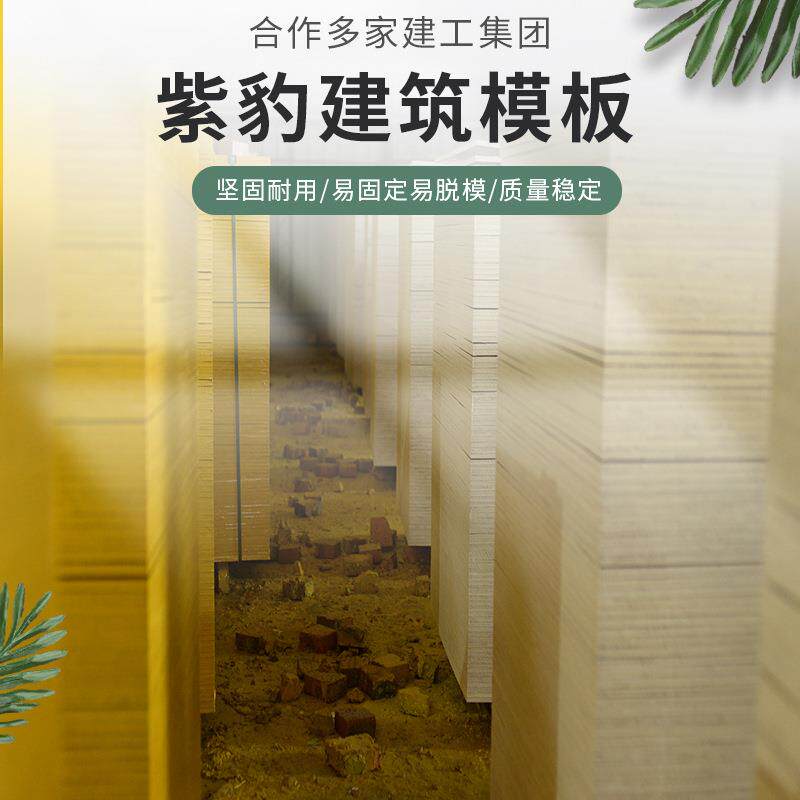 厂家货源广西桥梁模板红板十层九层柳州市红板材建筑多层板