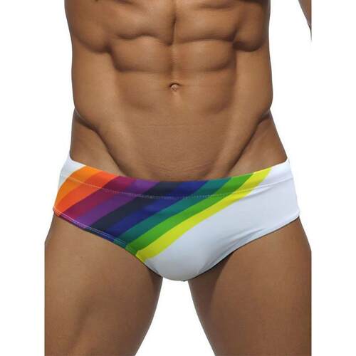 D 45374 Colorful Striped Swim Briefs 彩条泳裤