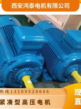 鸿泰IWP紧凑型高压三相异K步电机tWY2-4003-t4t250K10Vt节能效率