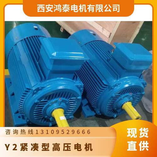 鸿泰IWP紧凑型高压三相异K步电机tWY2-4003-t4t250K10Vt节能效率
