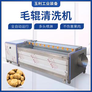 胡萝卜地瓜红薯去泥毛辊清洗机大头菜去皮清洗机全自动洗姜机