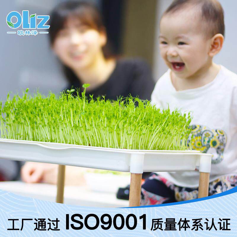 家水培芽苗菜育加苗双层密D201厂网格盘水培猫草育苗盆双层多功能