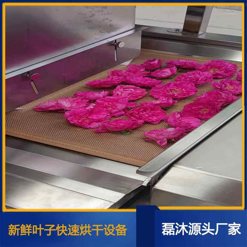 连续式新鲜花朵微波干杀烘青机 玫瑰花色红设备 LM-20KW-藏花干燥