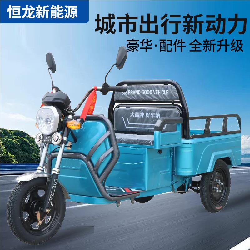 新款小型电动三轮车货拉农三用货轮国标可上牌货运小载194平板车