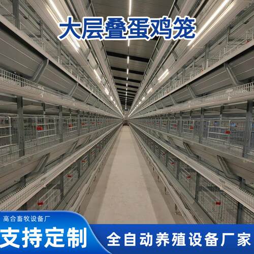 大层叠蛋鸡笼全自动饲喂自动清粪集蛋养殖设备厂家镀锌层叠式鸡笼