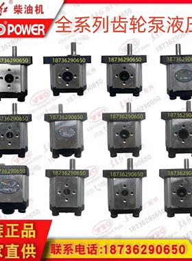 东方红拖拉机农机配件中伟CBN系列左旋4键11键液压泵齿轮泵双联泵