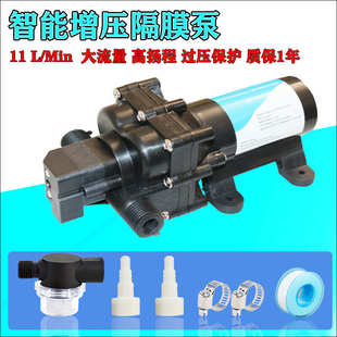 抽水泵12v消毒直流游艇自供水隔膜 泵房户外车吸增压雾化24v电动