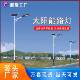 太阳能路灯户外新农村6米led市政工程道路照明感应太阳能灯