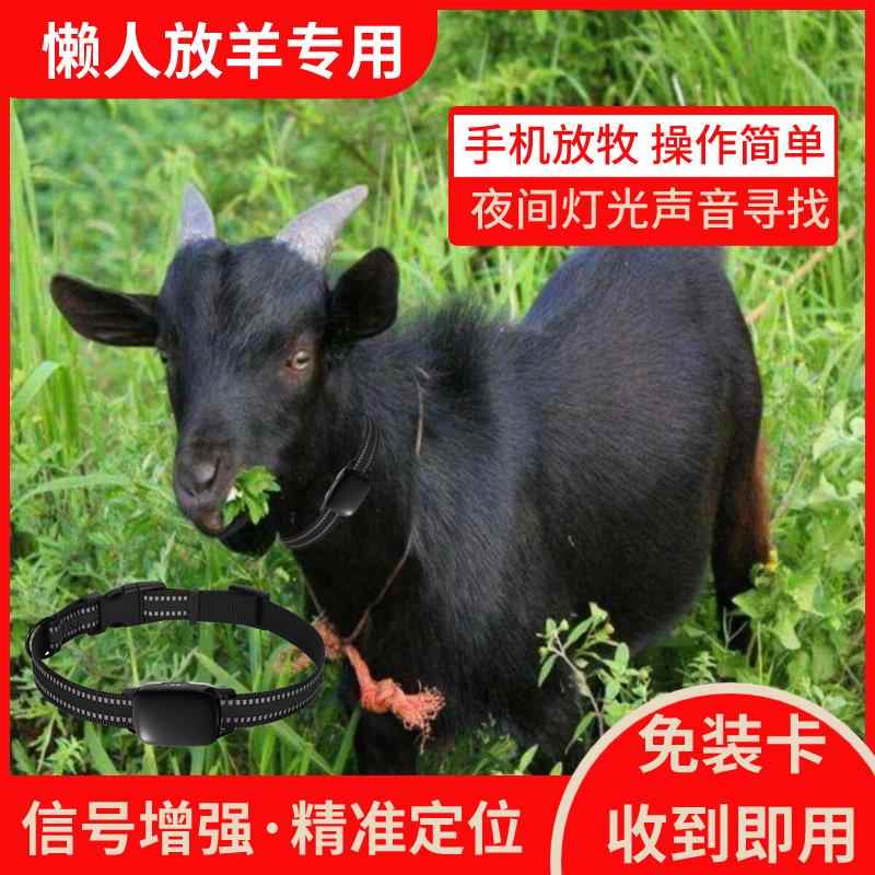 放羊神器懒人定仪器牛羊GPS北斗定位器放牧追踪山区跟踪防丢神器