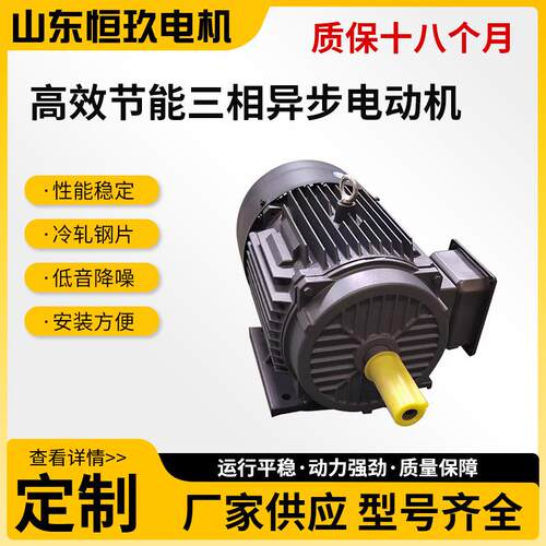 YE4三相异步电动机全铜线1.1-90千瓦工业机械电机源头低价