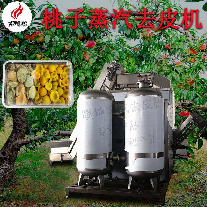 隆坤全自动黄桃蒸汽去皮机多功能水蜜桃高温烫皮机纯物理爆皮机