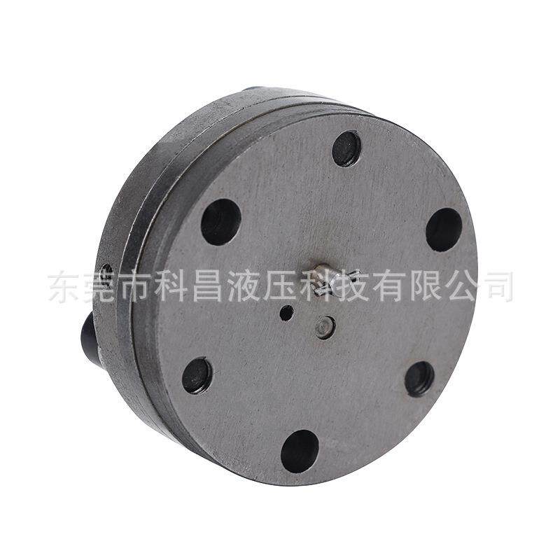 RCB润滑齿轮泵合金钢数控机床电动注油器微型泵头芯胆侵泡式