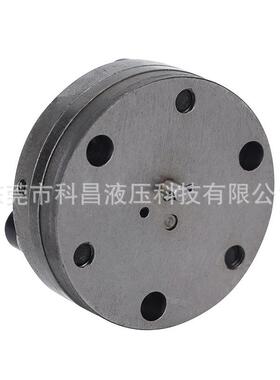 RCB润滑齿轮泵合金钢数控机床电动注油器微型泵头芯胆侵泡式