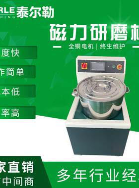 泰尔勒磁力抛光机 台式磁力研磨机 厂家小型磁力研磨抛光机
