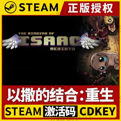 【撒的结合：重生】Steam正版游戏授权国区CDK不限区激活码英文