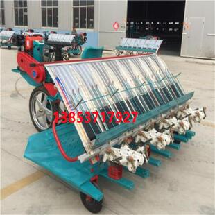 农作物秧插秧机栽植插机 高速乘坐高速乘坐式水稻插秧机水 稻苗秧