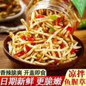 凉拌鱼腥草新鲜现挖折儿根剁椒凉拌折耳根辣椒酱鱼星草麻辣下饭菜