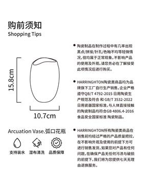 高档赫柠 陶瓷瓶简白色插花瓶摆约件水鲜培花客厅餐桌家居装花饰