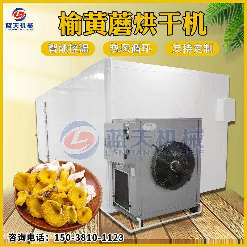 东北榆黄蘑烘干机 大型黄平菇黄金菇干烘干机 鸡油菌脱水烘干设备