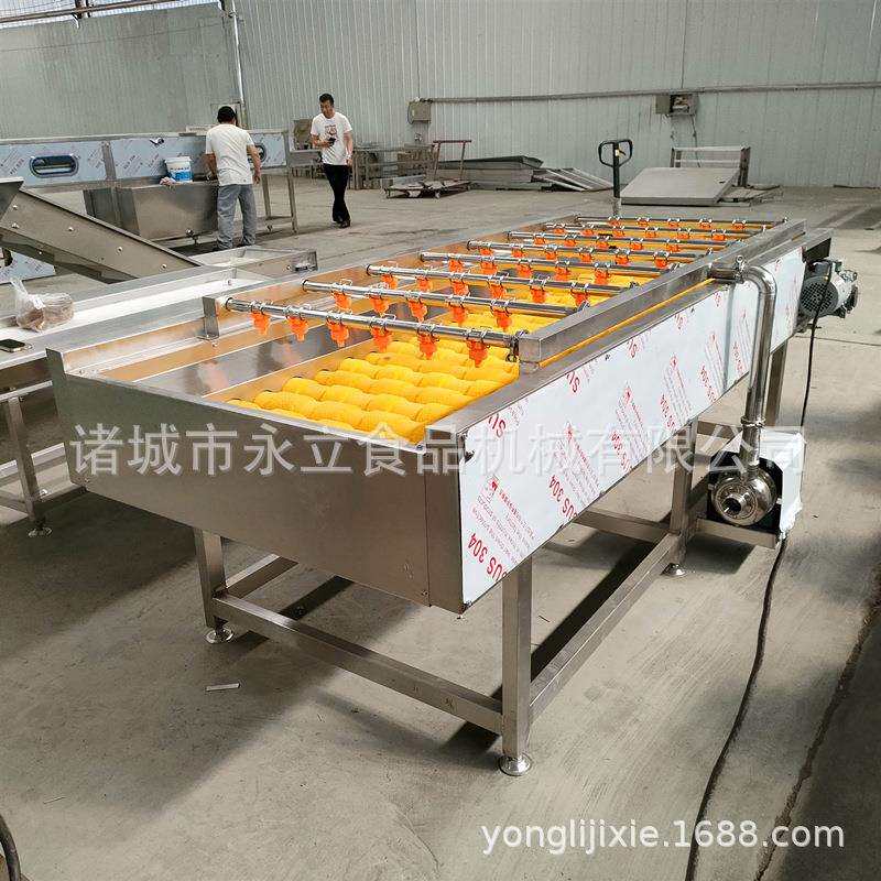 毛辊清洗机永立机械萝卜清洗流风干流水线去泥清洗设备