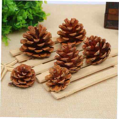 1-18CM Christmas Pinecone Dried flowers Songta Chinese pine