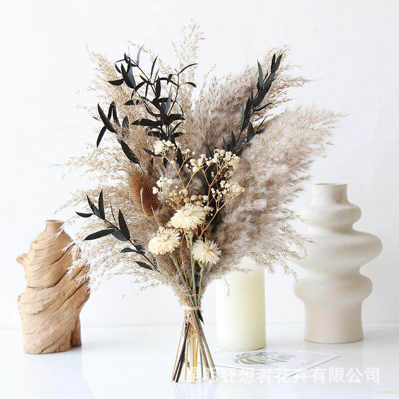 狂想者干花蒲苇细叶混搭花束家居软装插瓶样板房摆件氛围陈设