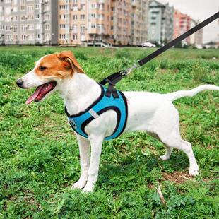 Cat Harness Kitten Cats Mesh Leash Breathable Dog Small And