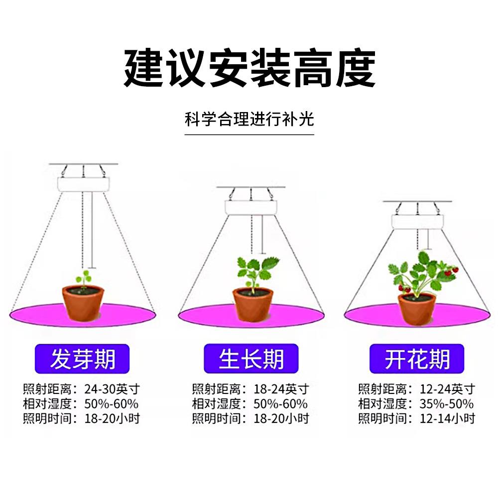 照明led植光物长生灯智能遥控全光谱蔬菜种全光谱白补灯户外大棚