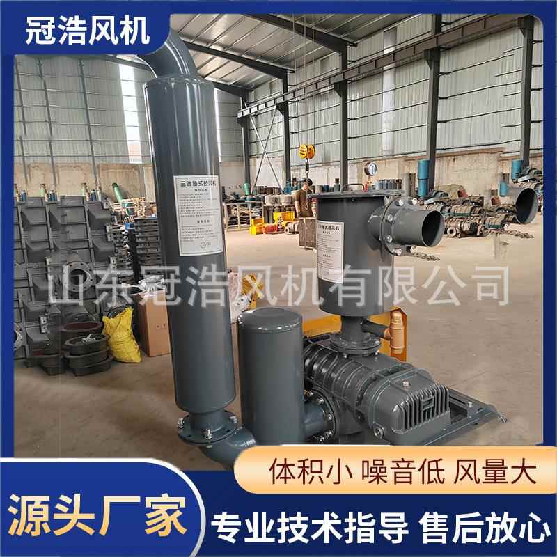 鲁式罗茨风机负压吸水低噪音龙铁罗茨风机造纸厂用纸巾用负压风机