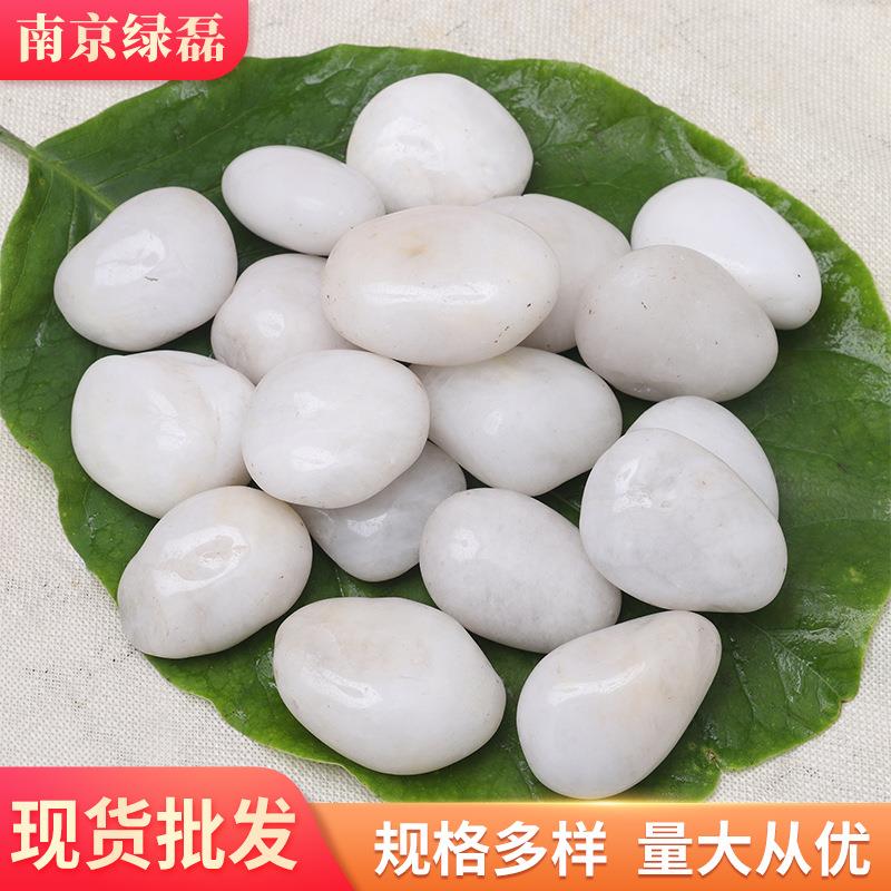 白色抛光鹅卵石 厂家白色雨花石 景观装饰工程铺路小石头子