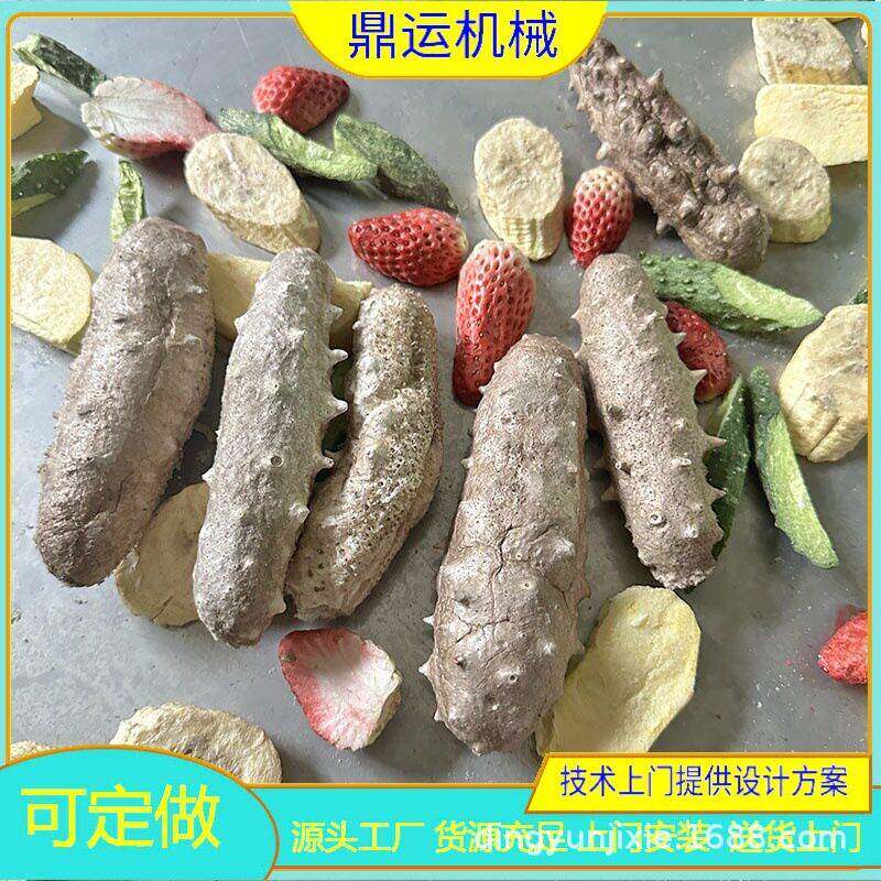 海参真空冻干机果蔬真空冻干干燥机材真空冻干机宠物食品冻干机