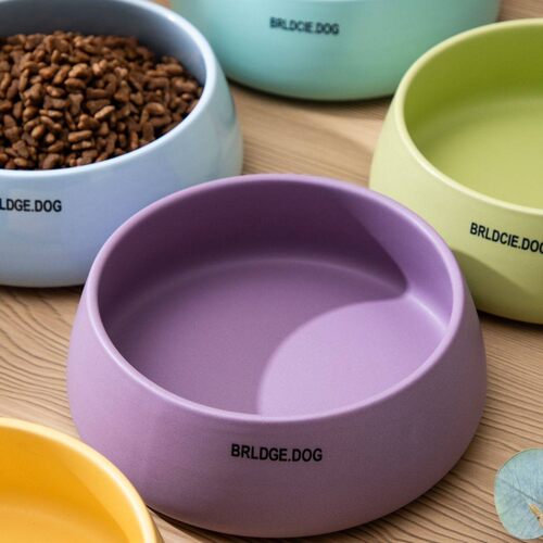 韩国bridge dog小收口碗猫咪狗狗水碗食盆卡通陶瓷宠物碗猫碗陶瓷