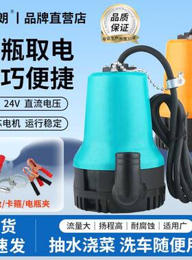 直流泵12V24V微型水泵家用抽水机农用浇地电瓶车潜水泵船用舱底泵