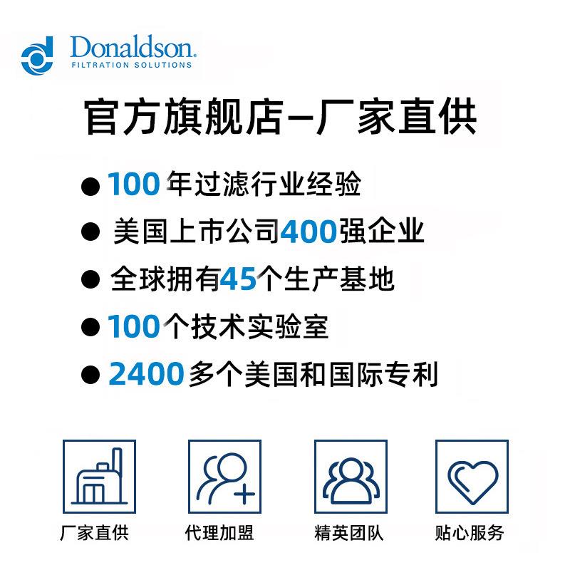 唐纳森Donaldson P181099 空气滤芯