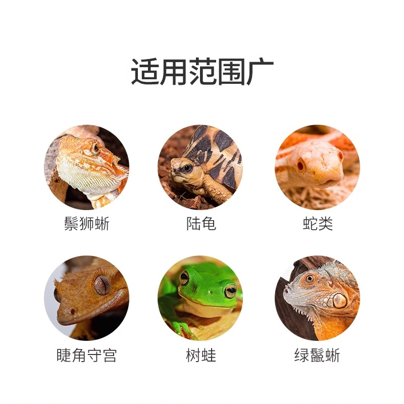 新派reptizoo森林地表爬宠树皮垫材蛇陆龟蜥蜴爬虫箱树皮造景用品