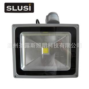 F9024带感应器工矿灯 LED投光灯LED户外灯具上乘质量灯具SLS