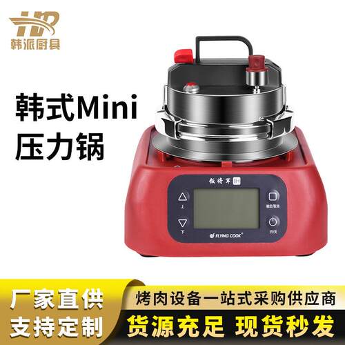 韩式迷你煲仔锅04不锈钢迷你高压锅小型压力锅煮汤做饭蒸锅家用