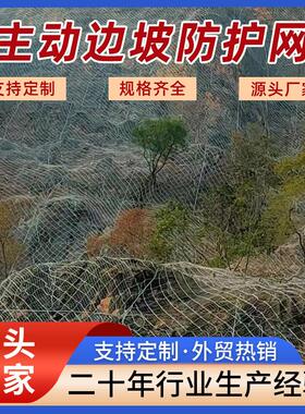 主动边坡防护网安全网防落石钢丝网边坡防护网sns被动柔性拦石网