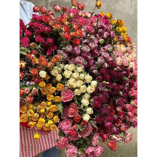 2024新品蔷薇干花泡泡真花风干手工diy花材滴胶中空相框花插花瓶