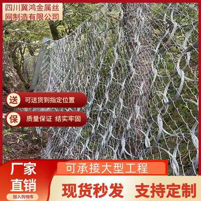 被动边坡柔性防护网 落石拦截 ROCCO环形网 PPS-075型拦石网