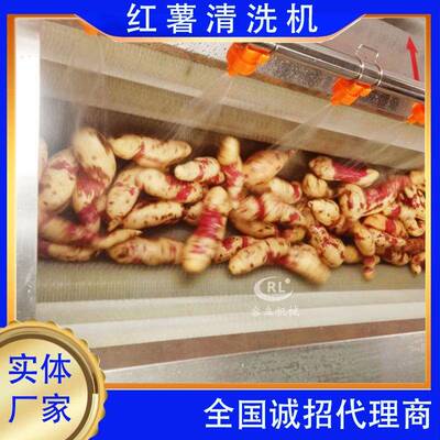 全自动红薯清洗机辊刷式莲藕萝卜大姜清洗去泥机土豆清洗去皮机