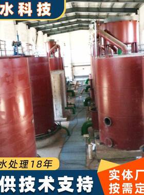 全自动污水一体化工业净水器商用水过滤器农村沉淀生产厂家水处理