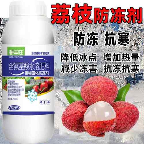 荔枝防冻剂荔枝防寒抗冻剂荔枝专用叶面肥解冻害抗低温荔枝防冻液