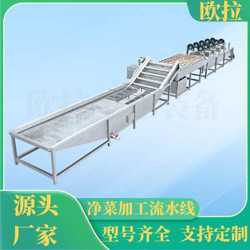 净菜加工成套设备 全自动樱桃清洗机 喷淋式不锈钢清洗设备