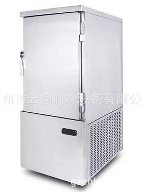 厂家供应 -45°海鲜急冻柜 Blast freezer 水饺冷冻柜 12盘速冻柜