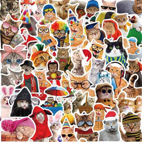 50PCS Cat MEME Funny Animals Stickers Vintage Toy DIY Kids N