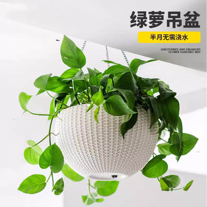 悬挂式吊篮花盆吊蓝吊挂自动吸水花篮吊兰绿萝挂钩挂懒人盆吊挂盆